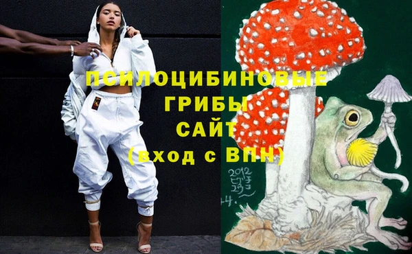 марки lsd Гусиноозёрск