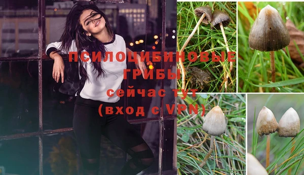 твердый Рославль