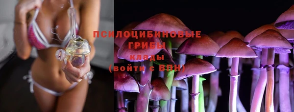 ешки Гусь-Хрустальный