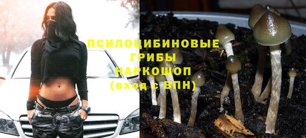ешки Гусь-Хрустальный