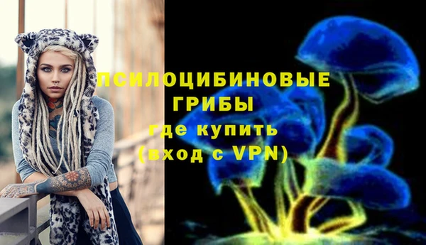 ешки Гусь-Хрустальный