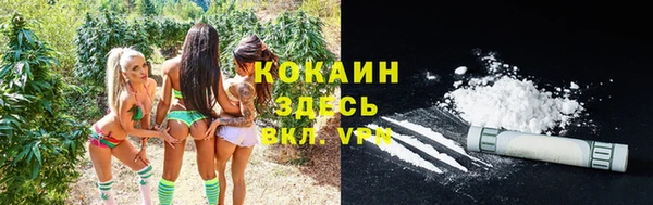 jwh Гусев