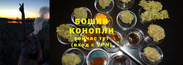марки lsd Гусиноозёрск